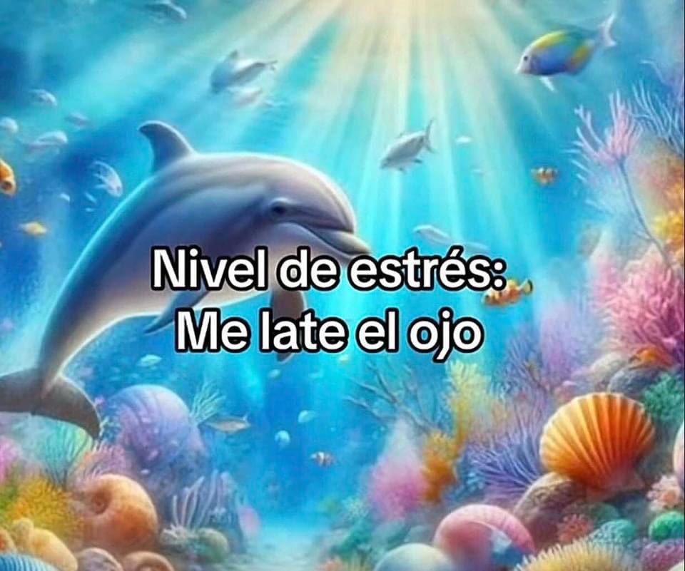a nada de elegir plaza y dudando mas que en estos tres meses