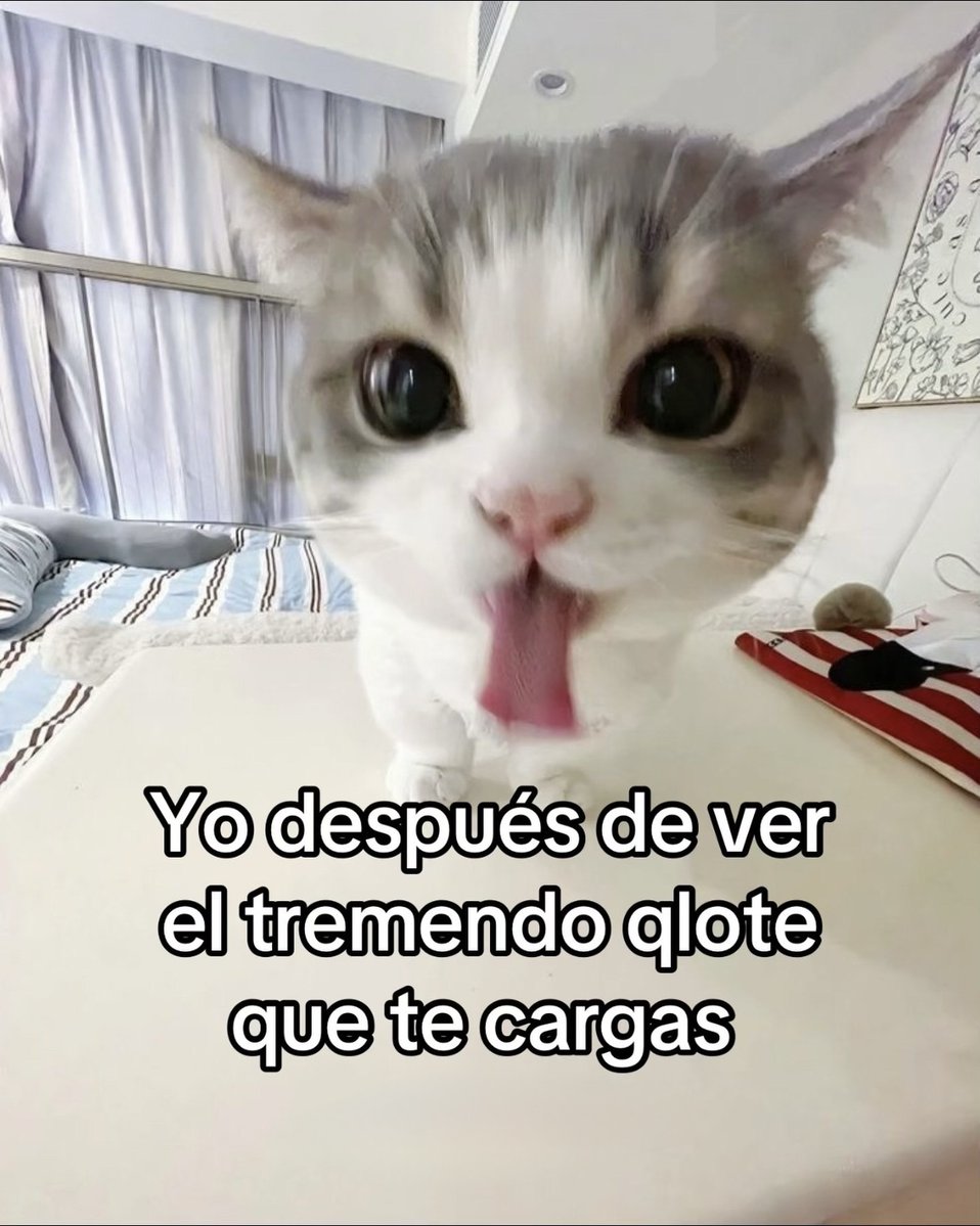 Mundo de Bigotes tweet media