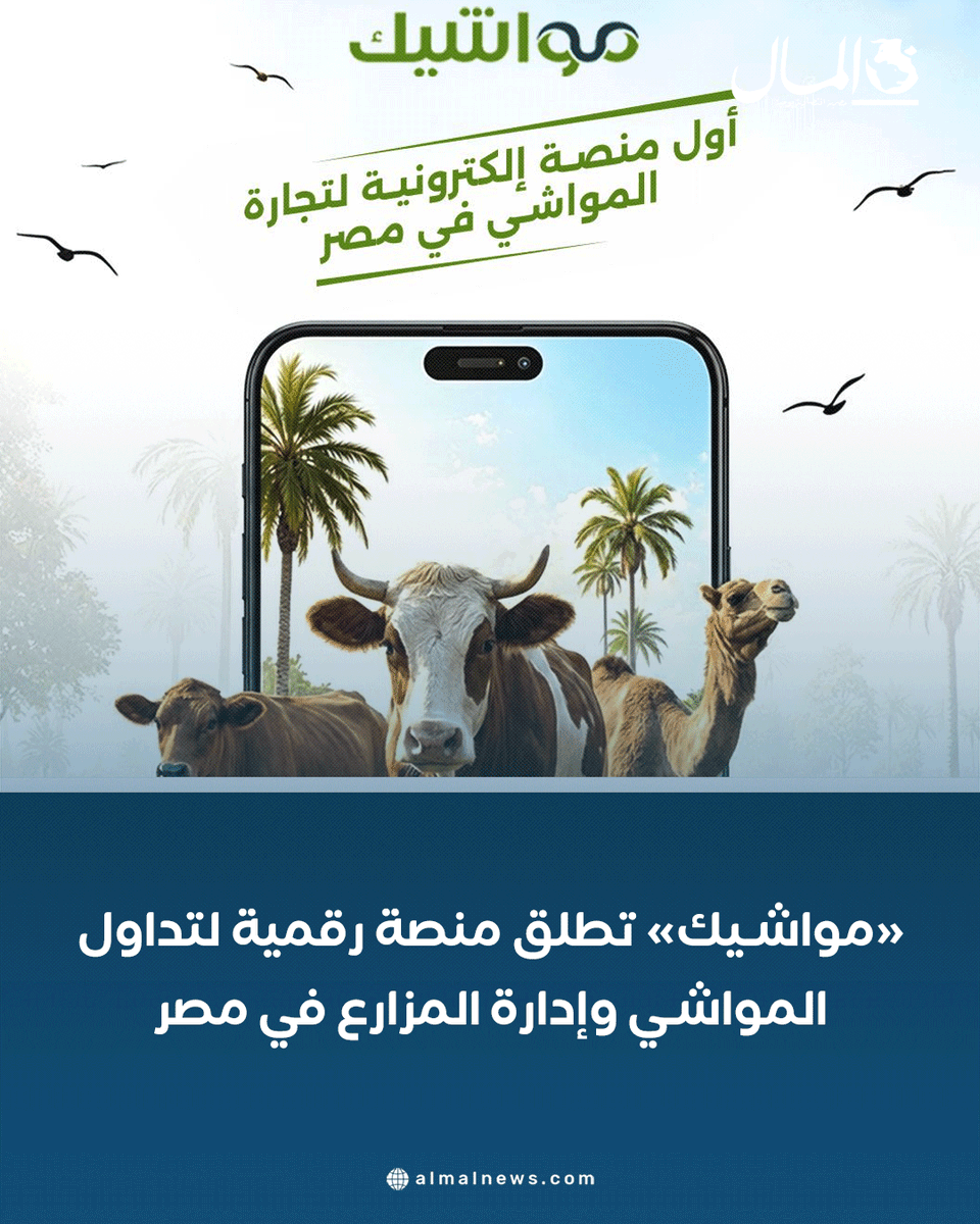 جريدة المال tweet media