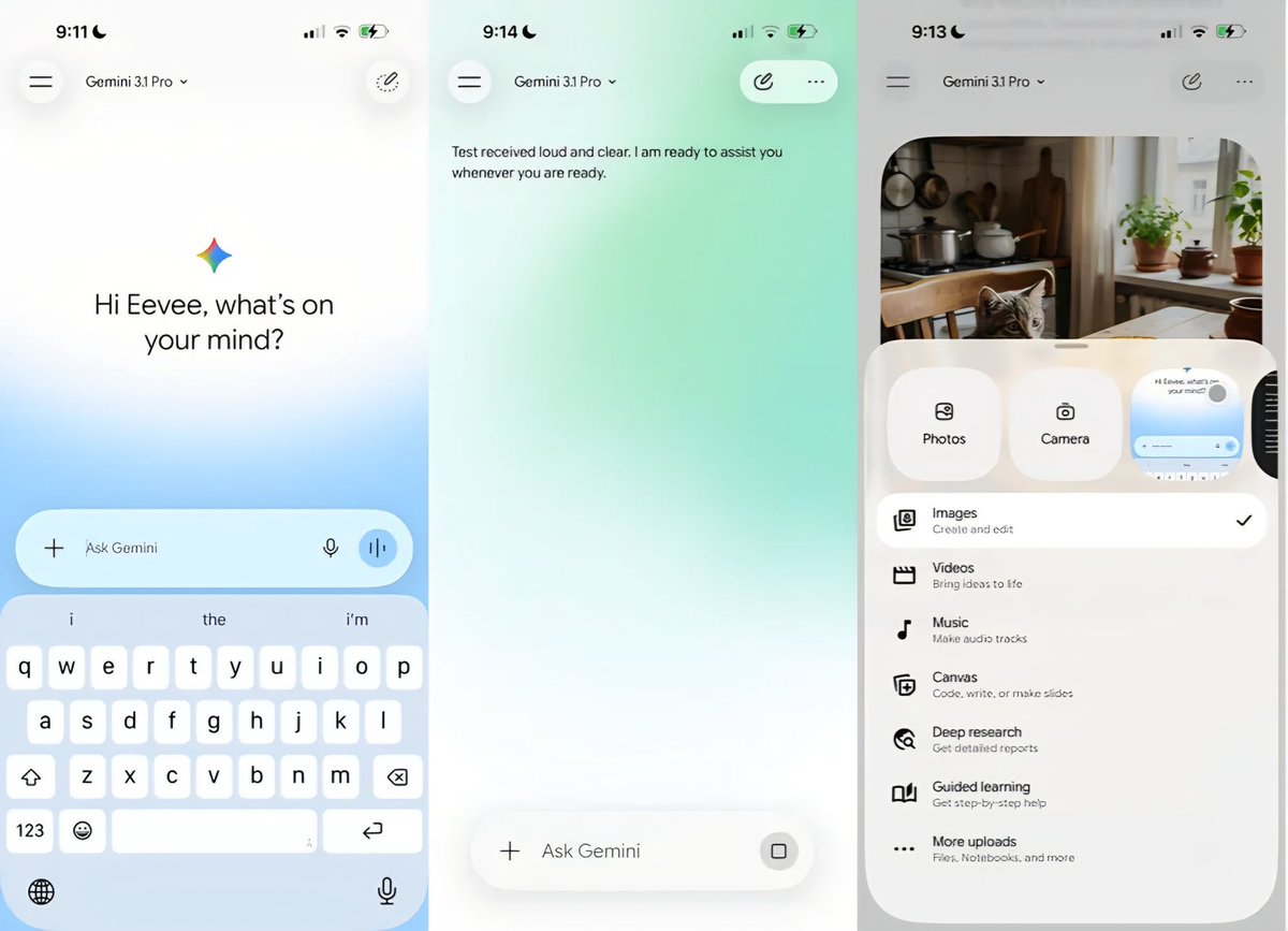 أسامة الضاوي tweet media
