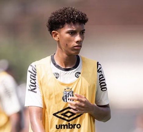 Gols do Brasileirão ⚽️🇧🇷 tweet media
