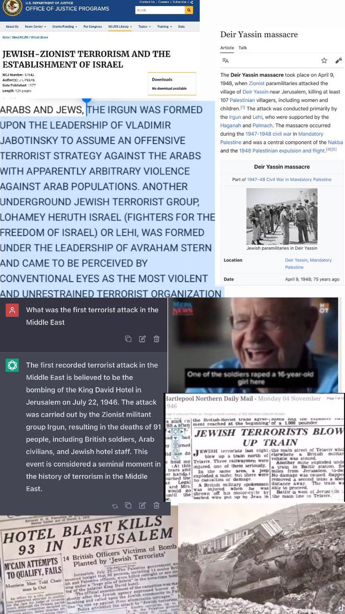 🇵🇸 tweet media