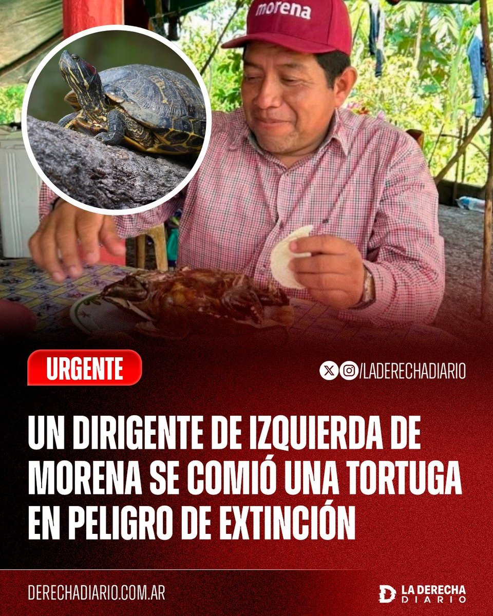 La Derecha Diario tweet media