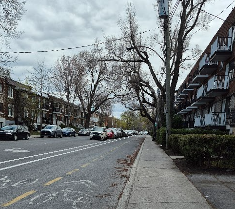 Rue Molson tweet media