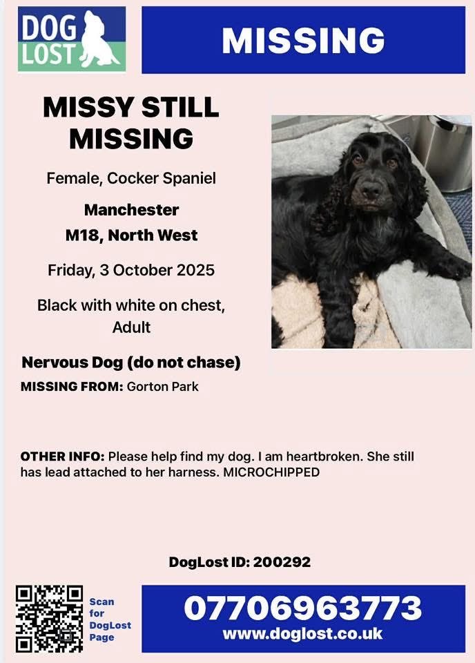 rosiedoc666's tweet image. MISSY IS STILL MISSING (LEAD ATTACHED) 3/10/25 
NERVOUS - DO NOT CHASE
Female #Cocker CHIPPED 
Lost #GortonPark #Manchester #M18 
BLACK/WHITE CHEST

❌STILL MISSING❌
doglost.co.uk/dog/200292

@manchdogs @manchesternhnow @MHTWelcome @LivingInChester @Jacksonsrow #StolenDogHour