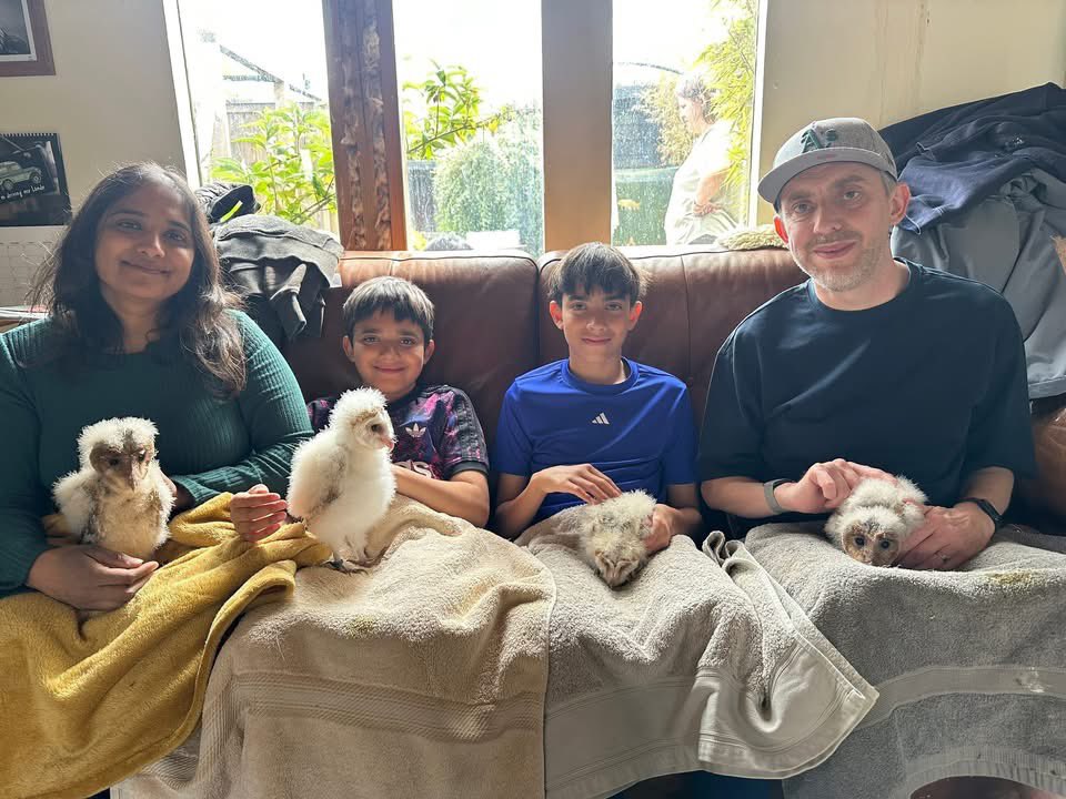 RobPeace9's tweet photo. Day after the promotion party, we had fun cuddling baby barn owls at Lavenham Falconary🦉 https://t.co/FK4LgvAGRq
