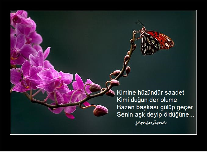 drsemsinur's tweet photo. Başkası gülüp geçer
Senin  öldüğüne... https://t.co/ny0CSL5ywV