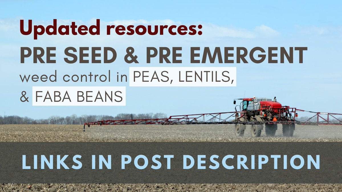 Saskatchewan Pulse Growers tweet media