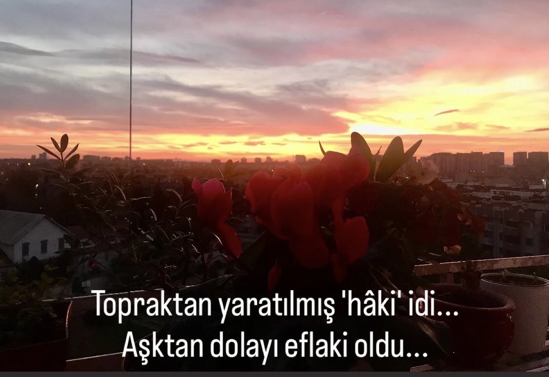 Handan Özduygu tweet media