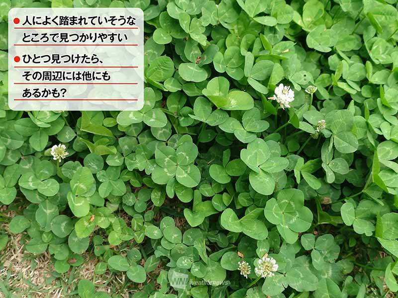 ウェザーニュース tweet media