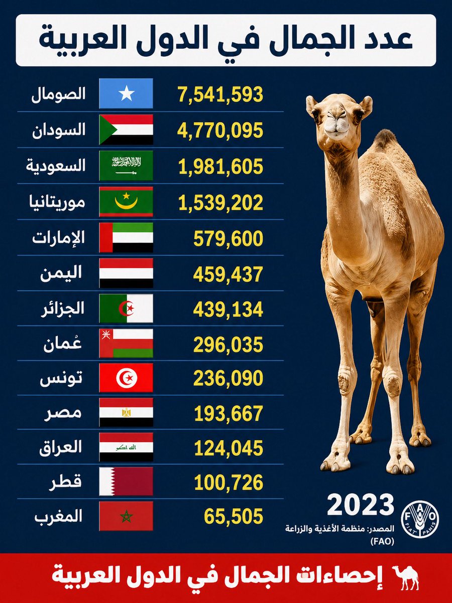 سند tweet media
