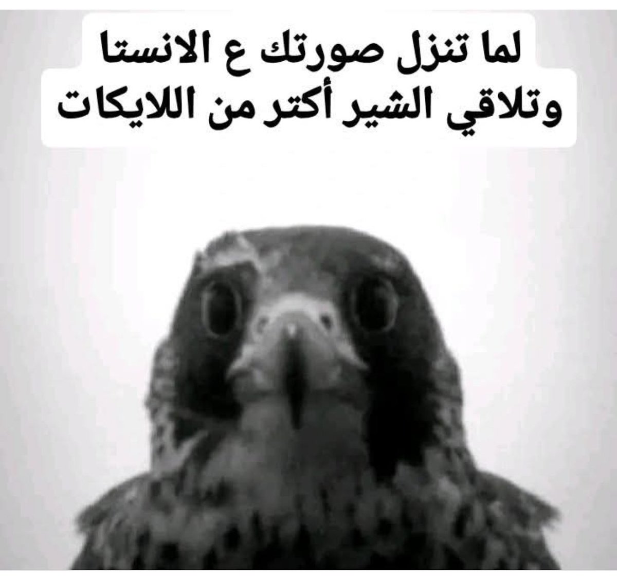 aharb2022's tweet photo. @AdabRuss نفس المبدأ https://t.co/qvMPHE1xAG