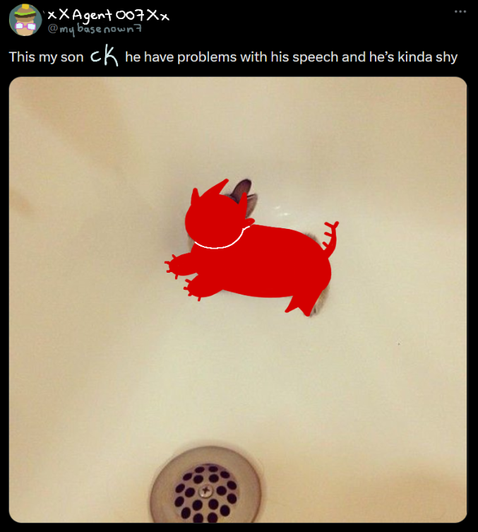 ₍ᐢᐢ₎ tweet media