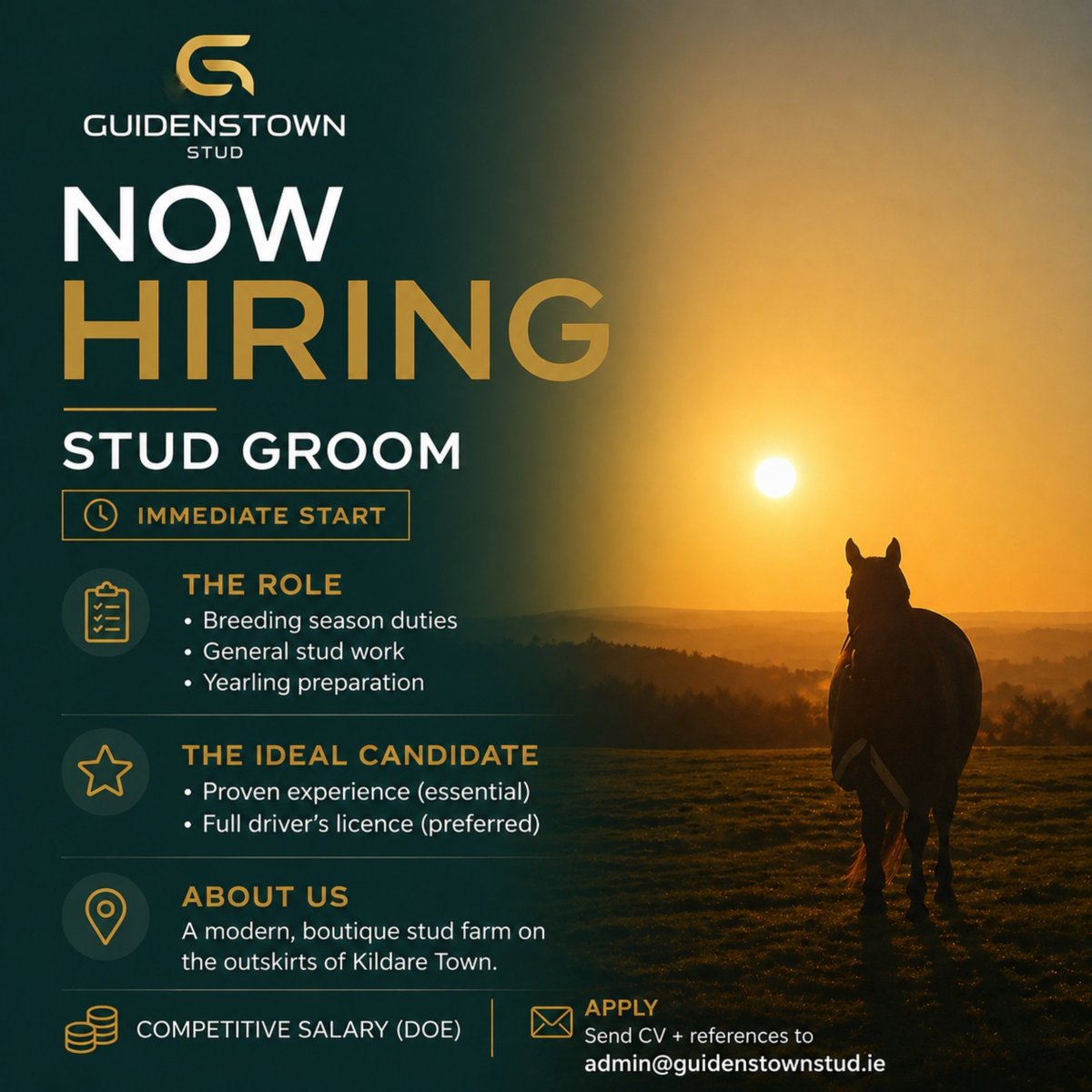 GuidenstownStud's tweet photo. Job Vacancy 🐴 

Please follow the attached details if you are interested in joining a small team in the heart of Kildare 🇮🇪

Applications close the 18th of May 2026 

Retweets appreciated 🤝 https://t.co/EpgMoaCL68