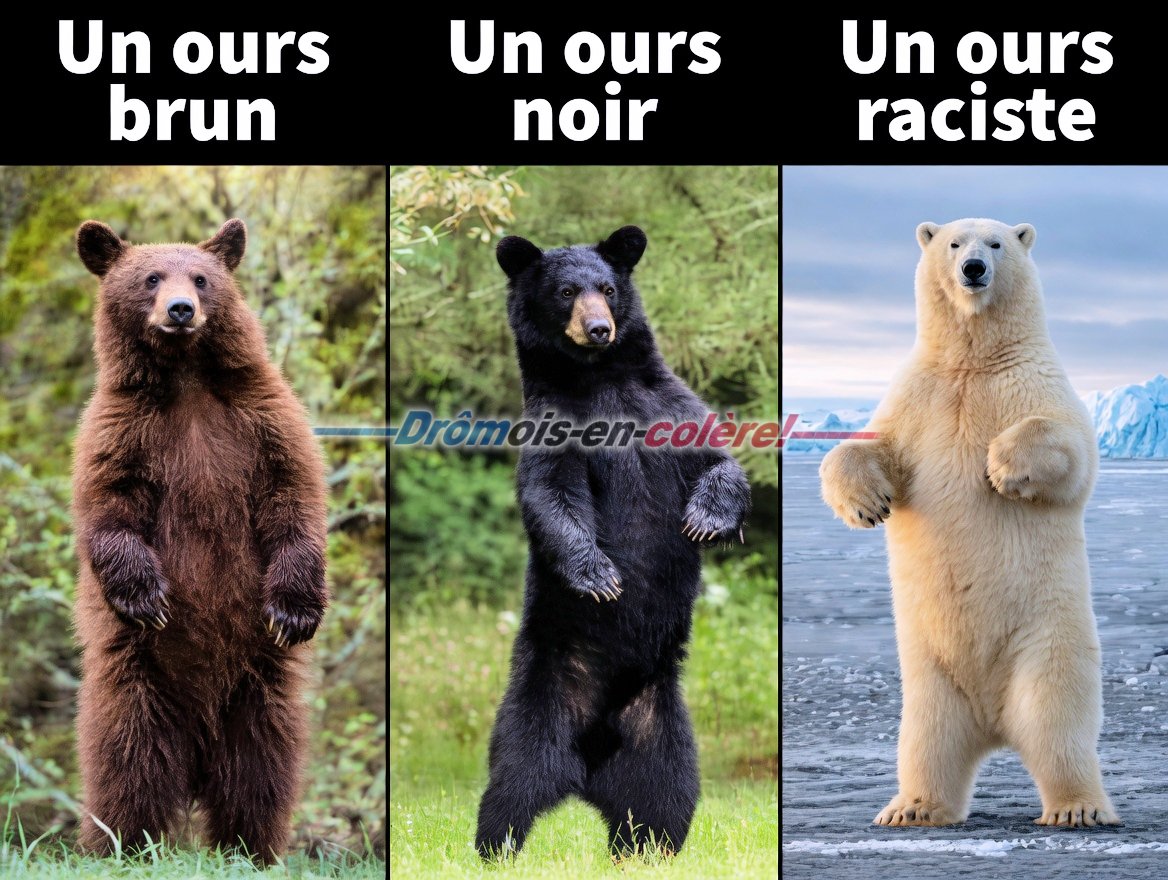 🇫🇷---Drômois en Colère!---🇫🇷 tweet media