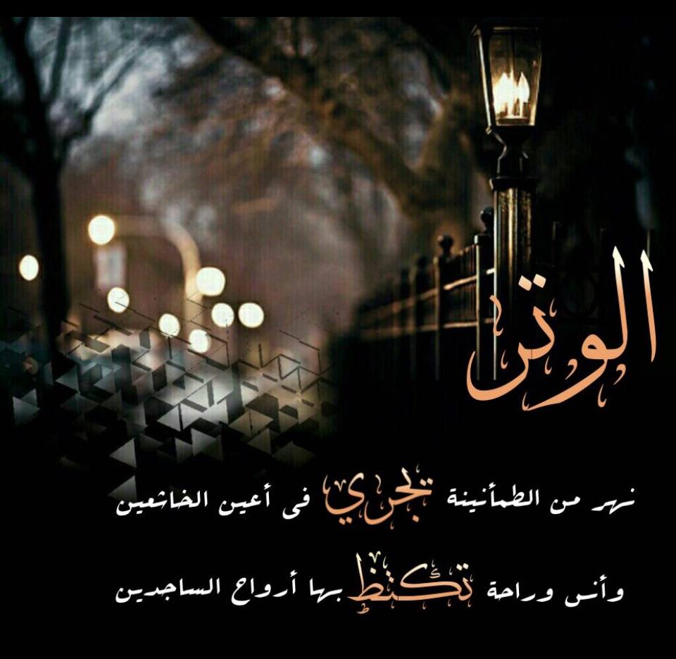لـــــ🤍ـــــولي tweet media