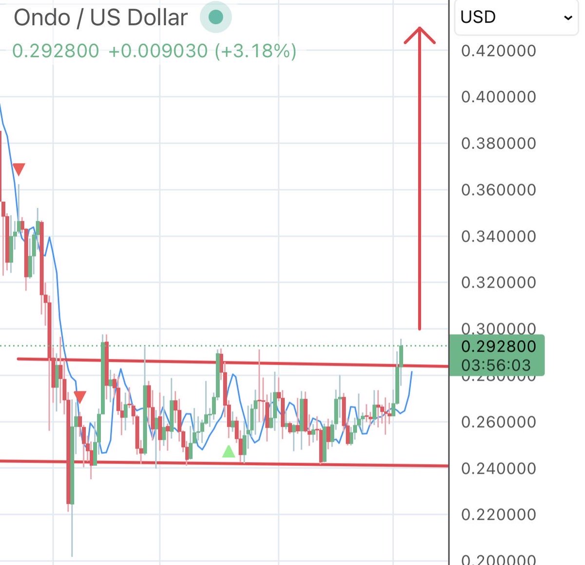 wildly bullish tweet media