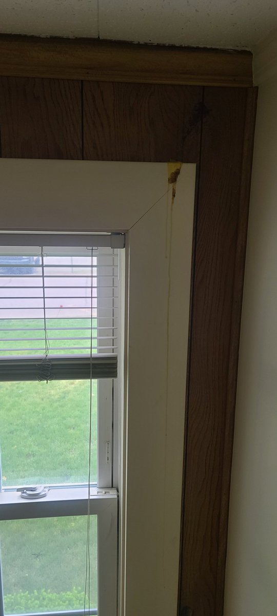 antoncrowley1's tweet photo. 17 Year age progression of a yellow Starburst on the trim of a window at my job. https://t.co/QGAf974Nki