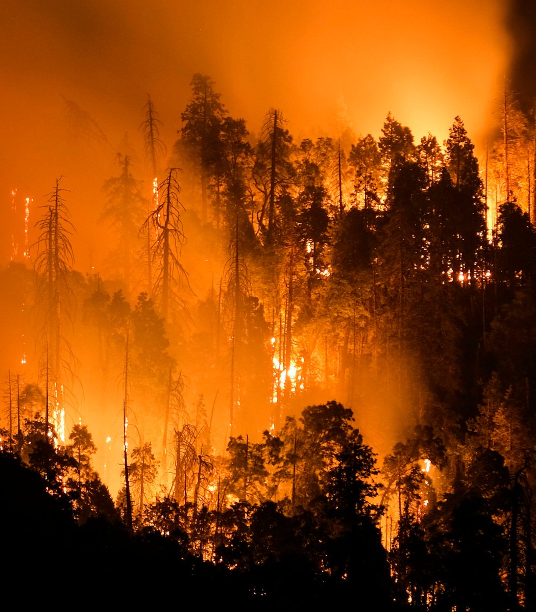 Pubity tweet media