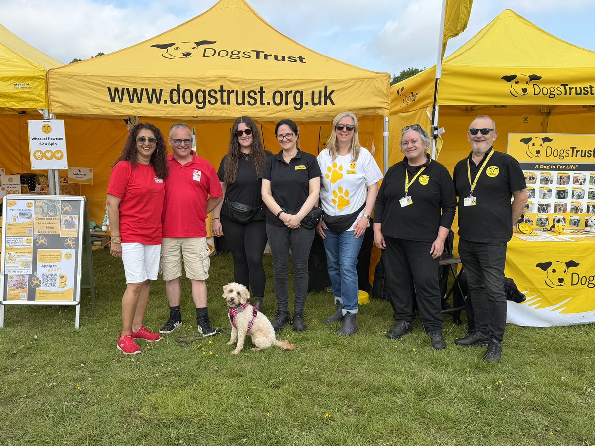 Chappers2013's tweet photo. Brilliant day today @Allaboutdogssho with Baloo at #hylandspark
#assistancedog Lulu met the team from @DogsTrust #basildon who looked after her and was on the @ServiceDogsUK stand โค๏ธ๐พ๐พ
Two great displays by @EssexPoliceUK #dogsection ๐
Ended the day with a 99 ice cream! https://t.co/Sn4t9pmFyH