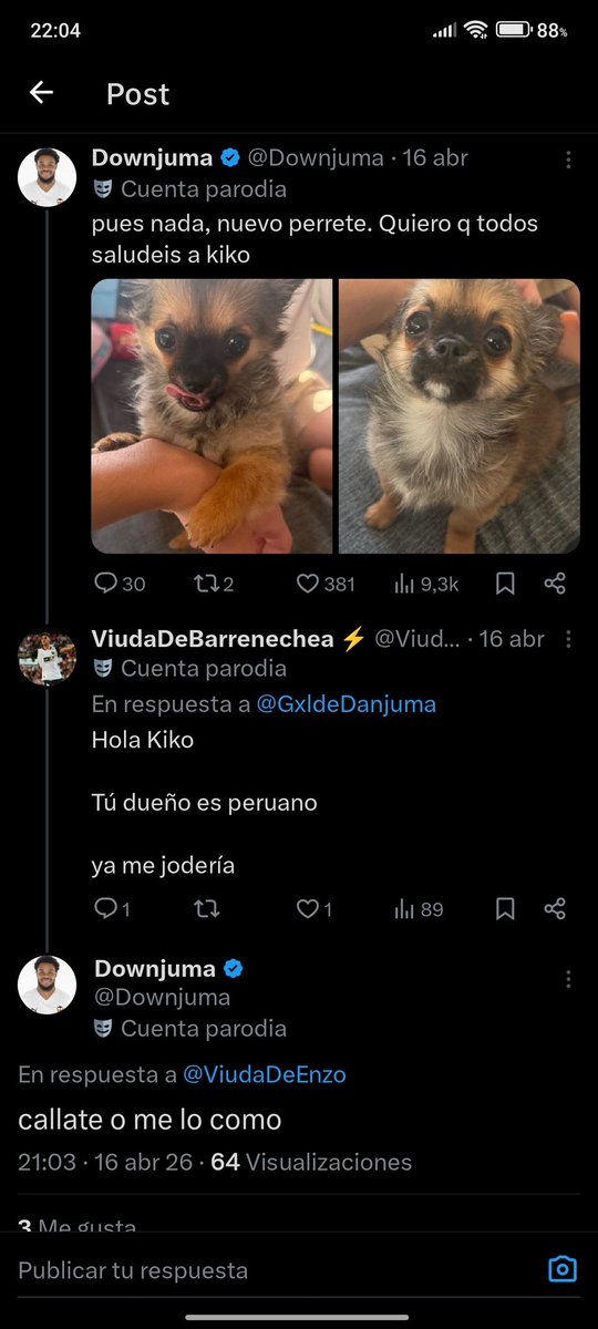 ViudaDeBarrenechea ⚡ tweet media