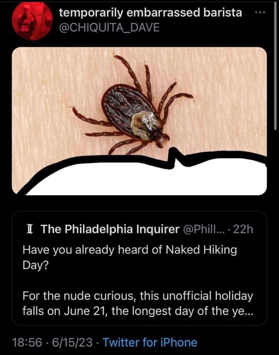 rio 🪲 bug oomf tweet media