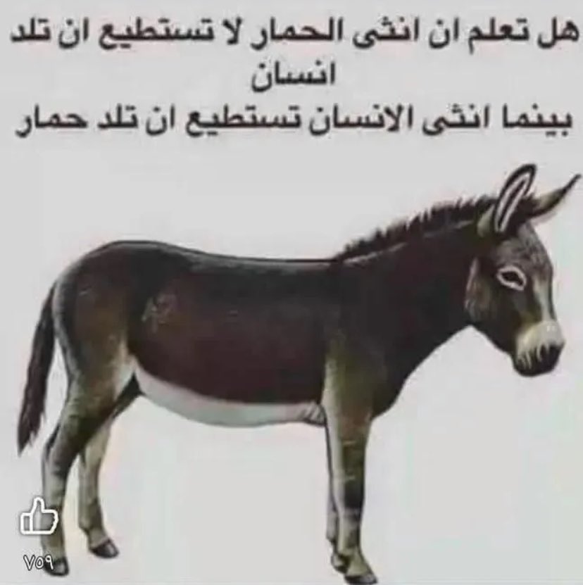 آل مجلان tweet media