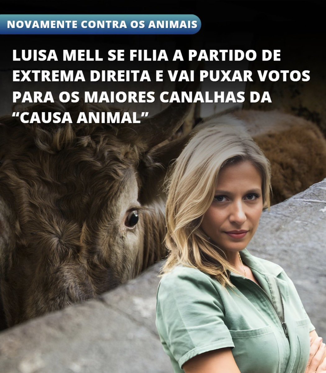 Amandinha 🇧🇷🚩 tweet media