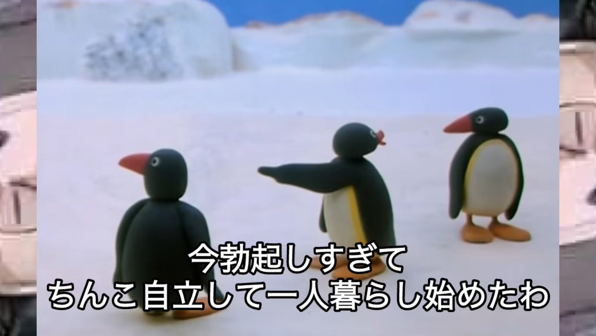 ぶんぶん丸(☝︎ ՞ਊ ՞)☝︎ tweet media