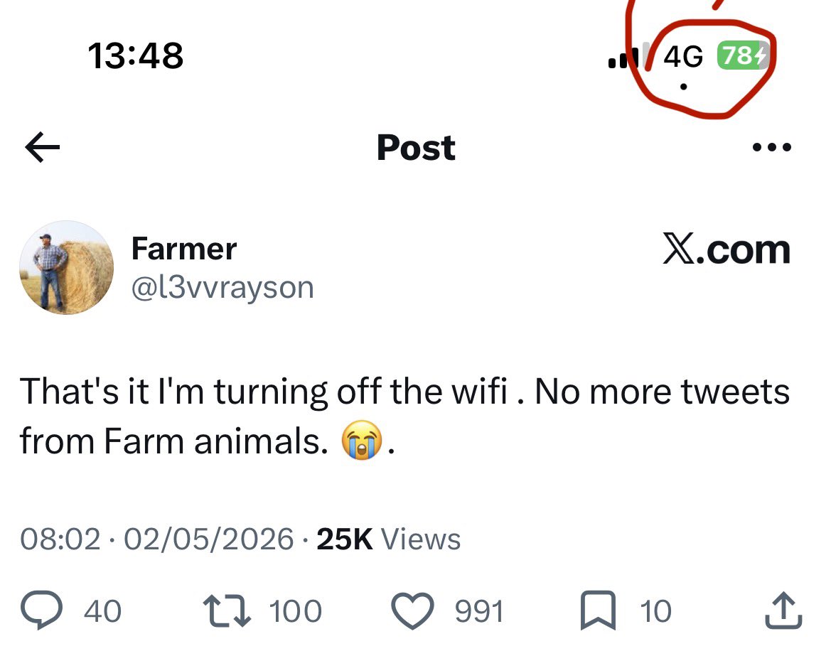 Alpaca tweet media