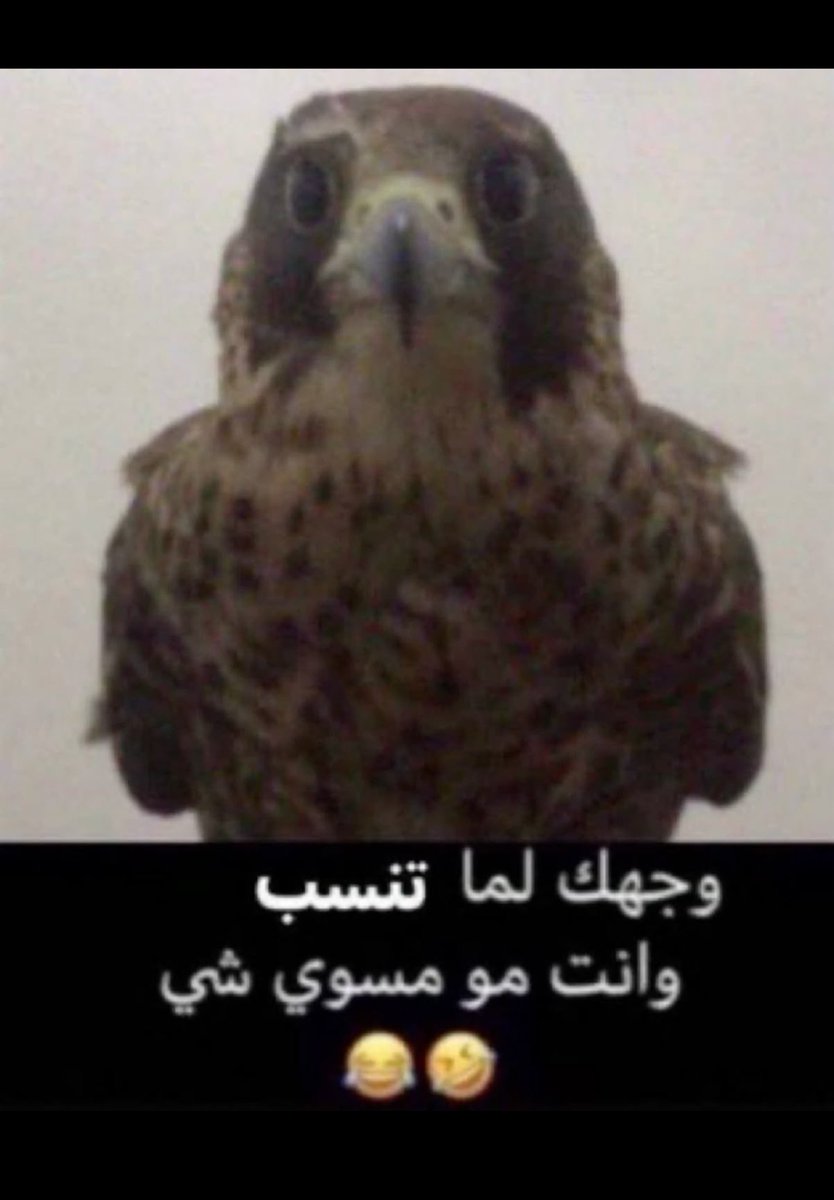 ريّ tweet media