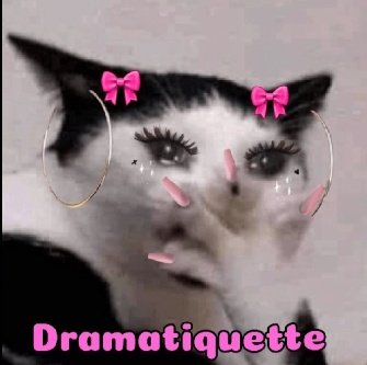 pazaHoops⁷ ⊙⊝⊜ VA A OLER A BTS tweet media