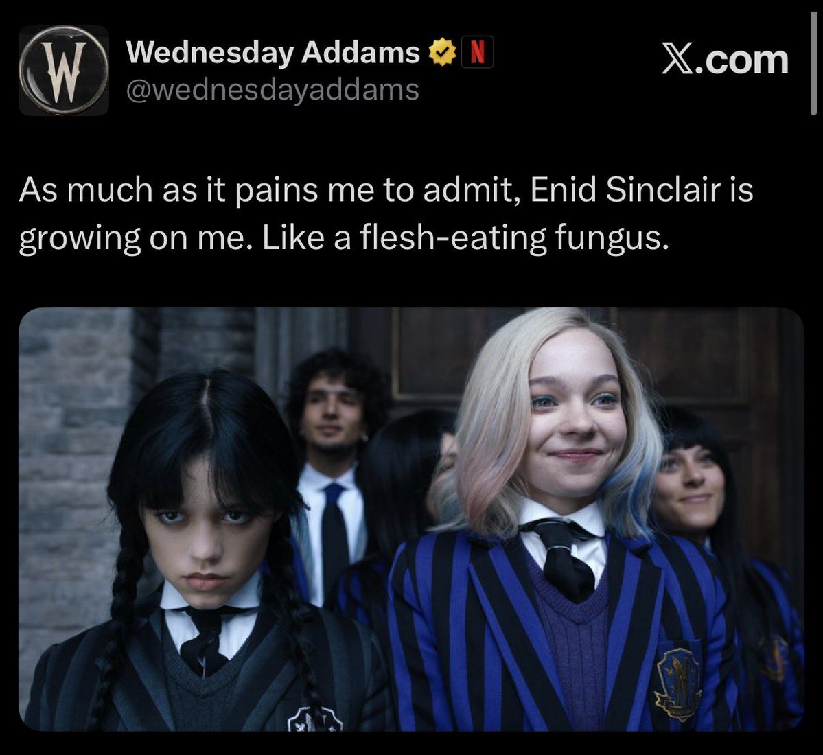 Micol tweet media