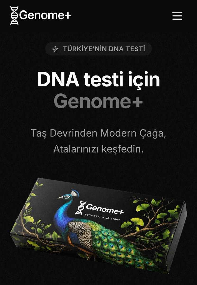 Oğuzhan TEKDEN tweet media