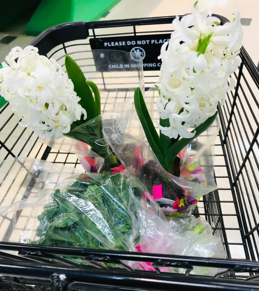 YiFan2030's tweet photo. Next Weekend 🛒The Garden Center 🙌Fully Opening 💕 https://t.co/FZFkmlmBp8