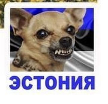 Dmitry Mitin tweet media