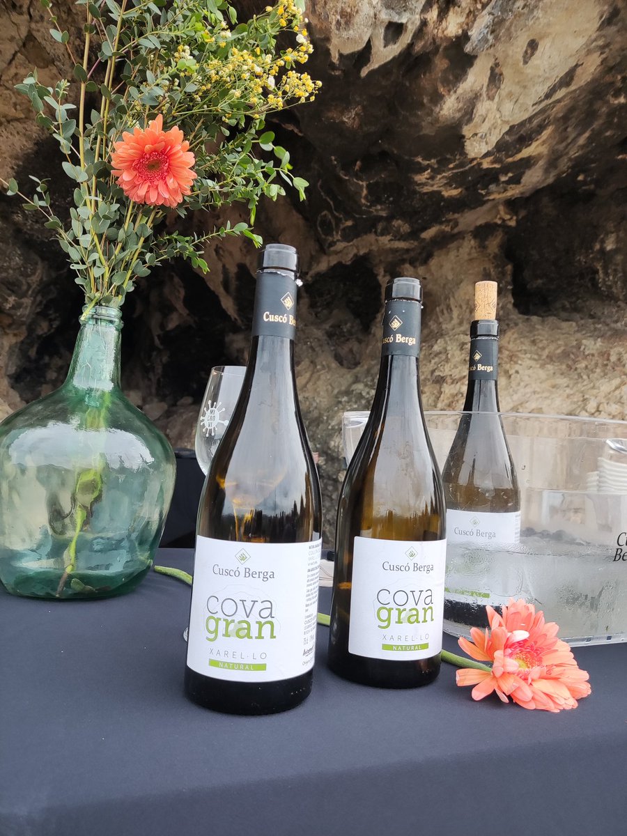 cuscoberga's tweet photo. Al #Microvi2026 Passejada i tast maridat a la Cova Gran en un entorn natural privilegiat i dinamitzat per @CARAMCARAMMM  i @cuscoberga 
@penedesturisme #winelovers
@BCNmoltmes @VisitaAvinyonet
https://t.co/ado7ErJCGf https://t.co/Pk2Tk6uPtF