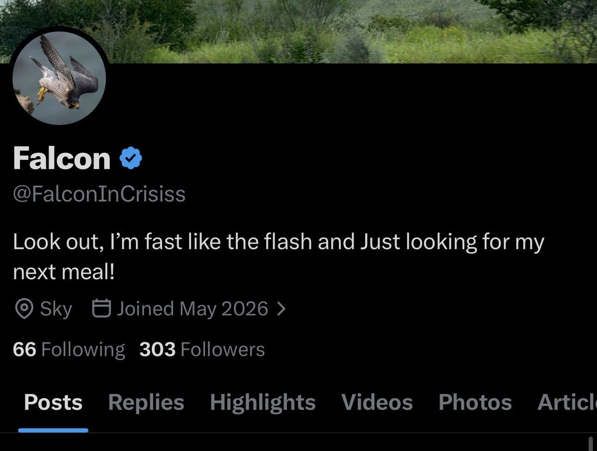 Falcon tweet media