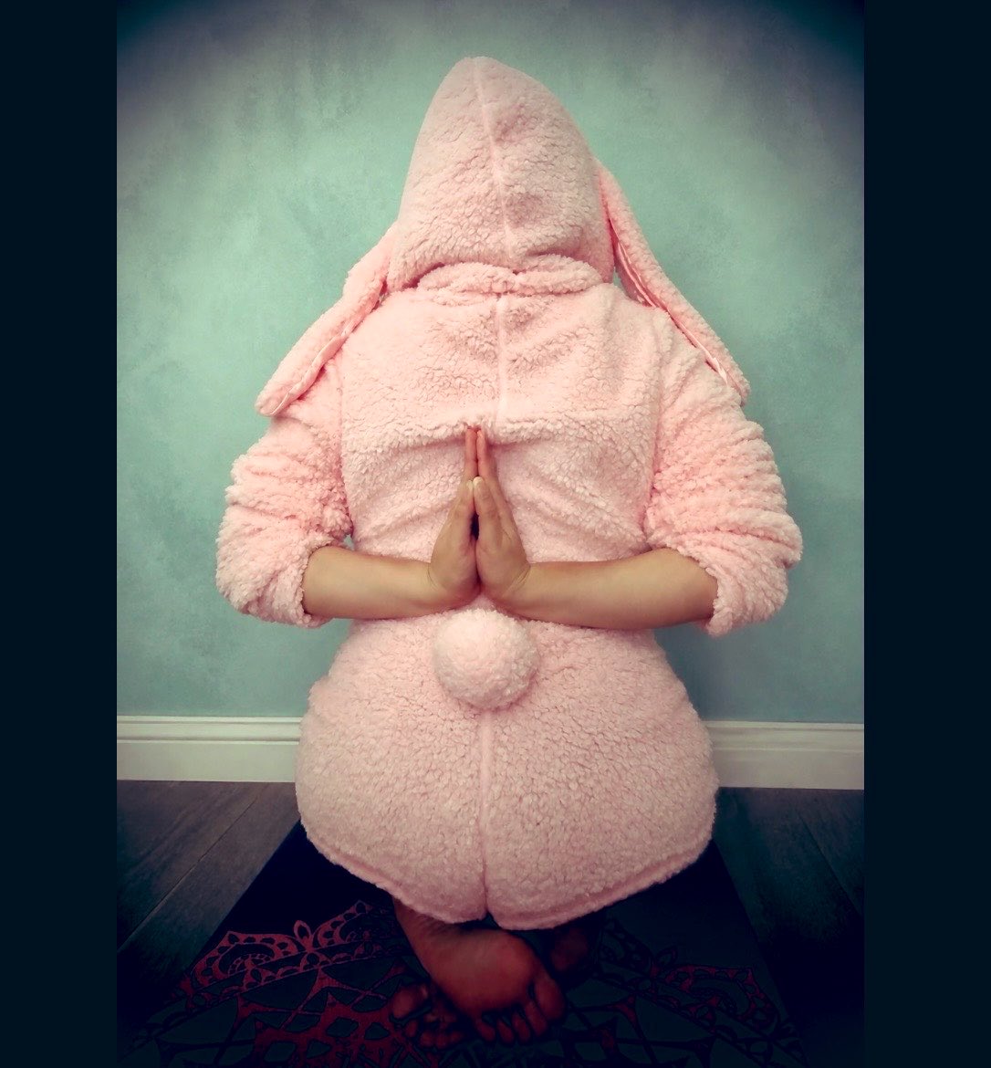 KikiS0yS4uc3's tweet photo. Yoga Bunny is back 🐇
being a copykat 😼
& reporting for inner peace duty 🧘🏼♀️
#ReversePrayerPose https://t.co/4mMls1fRmT