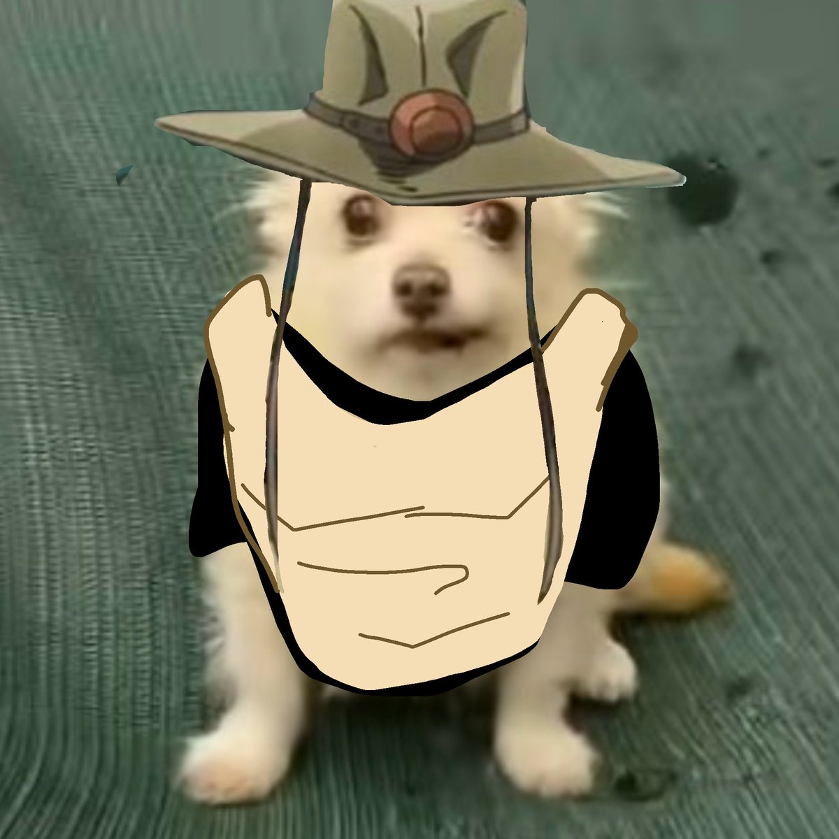 Hol horse the greatest tweet media