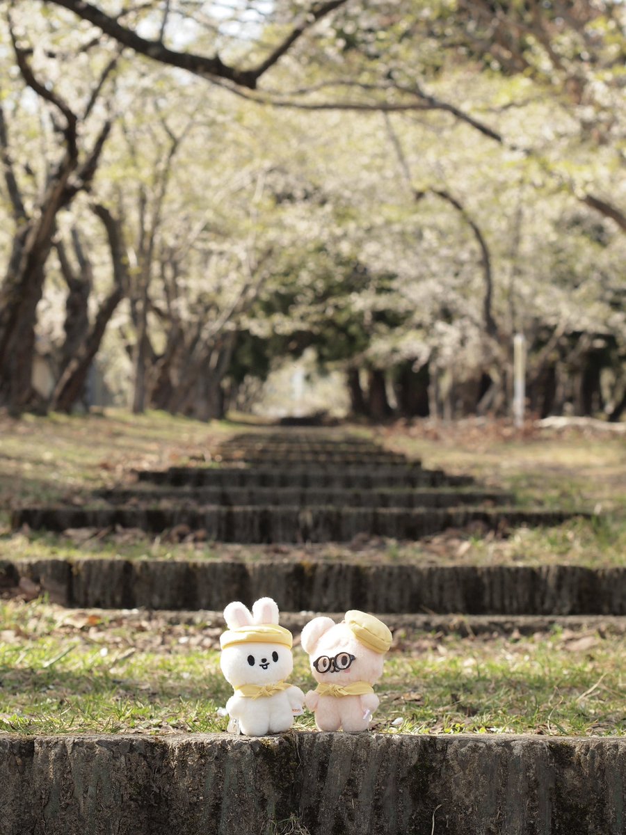 ジモス🐰🍮🐶 tweet media