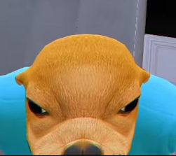 bilau