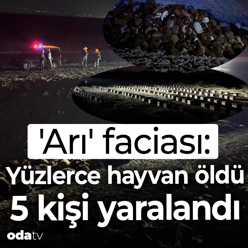 Odatv tweet media
