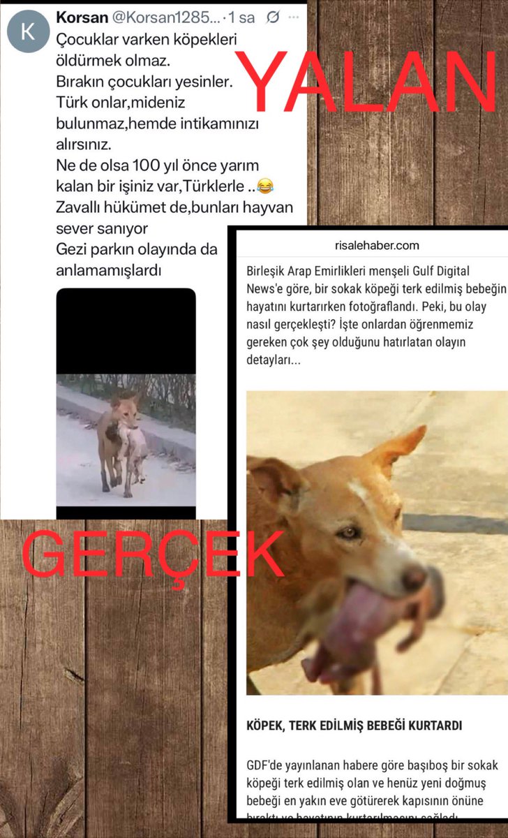 Güvenli Sokaklar tweet media