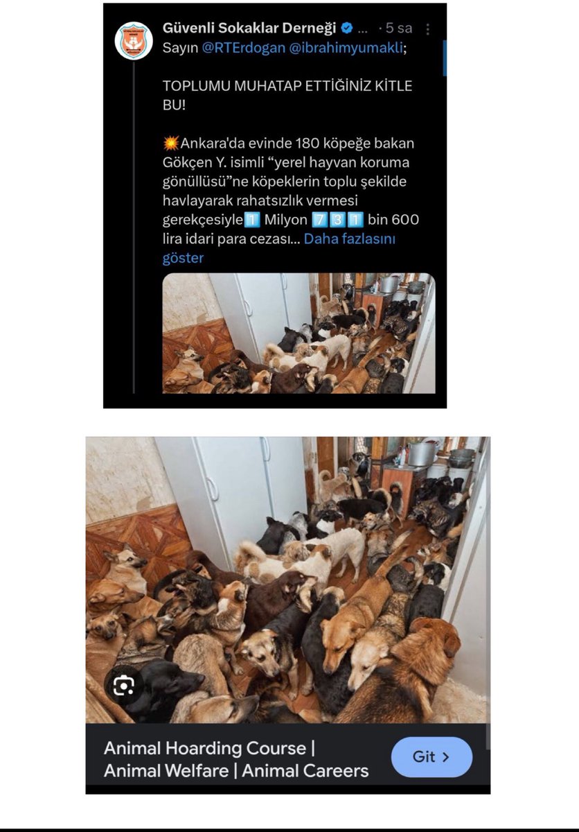 Güvenli Sokaklar tweet media