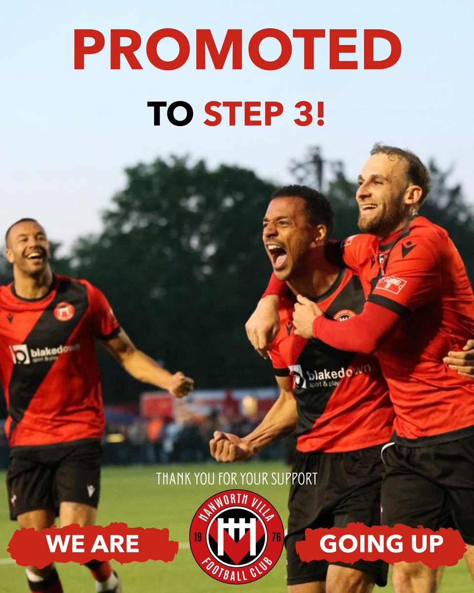 Hanworth Villa FC (P) tweet media
