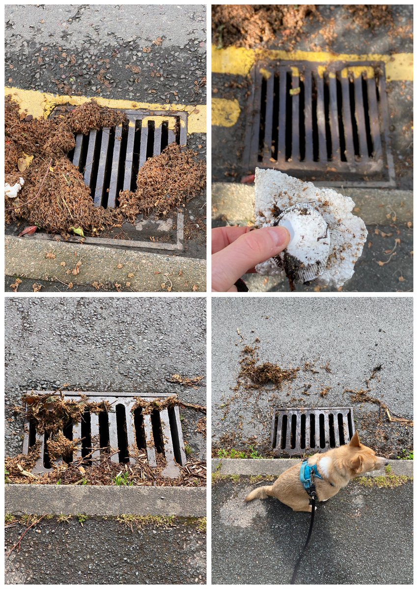 sabrown134's tweet photo. 3rd May - not much litter on our morning (or afternoon) #sniffaris @pawsonplastic ๐พ however we did #BootScrape a few drains (after โ๏ธ yesterday) hereโs a couple of befores and afters ๐ฅพ
#BePartOfTheSolutionNotThePollution ๐ฏ๐ฎ
#LoveRossHateLitter ๐ #RCLCUC ๐๐ฏ๐ฎ #NotJustLitter https://t.co/2zChKoD3uS