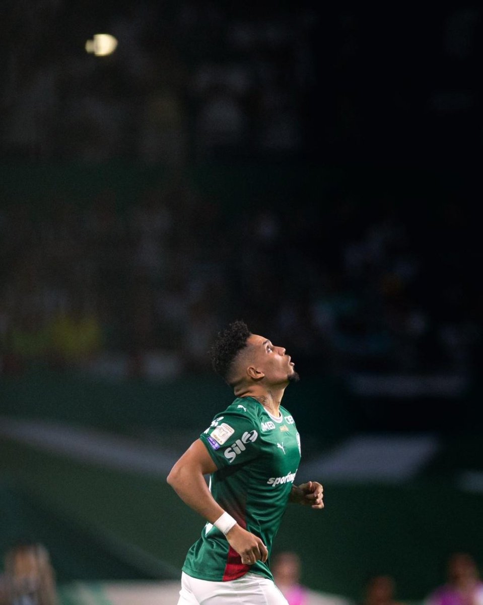 Planeta do Palmeiras 🌎 tweet media