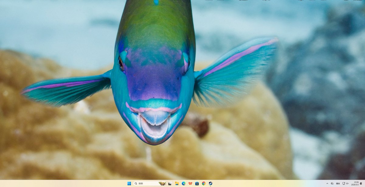 windows 聚焦壁纸 真的邪门了。

平时整点风景 宠物到还能接受

今天给我整了个丑鱼，吓我一激灵