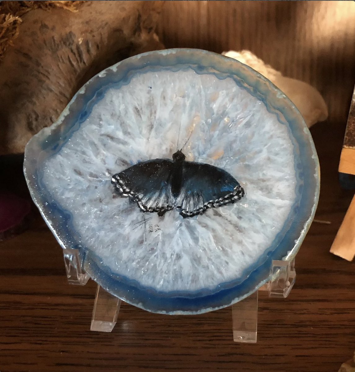 annimae9's tweet photo. Custom Order Hand Painted Blue Butterfly Agate Slice, Blue Geode Gemstone Decor #AnnimaesCollectibles #bluebutterflyagateslice #handpainted #blueBraziliangeode #customorder #homedecor #wildlifeart #MothersDaygift https://t.co/qvHZcAq785 https://t.co/iySXus0JhP